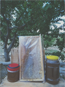 1000 DERDE ŞİFA DOĞAL TOROS BALI