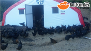 ÇADIR KÜMES KURULUMU