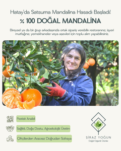 HATAY AGROEKOLOJİK TARIM ÜRÜNLERİ