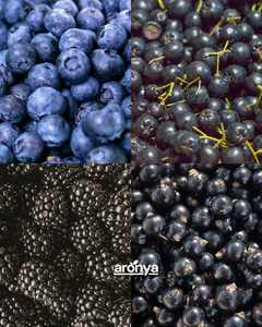 Organik Sertifikalı AronyaYaban MersiniFrenk ÜzümüBöğürtlen