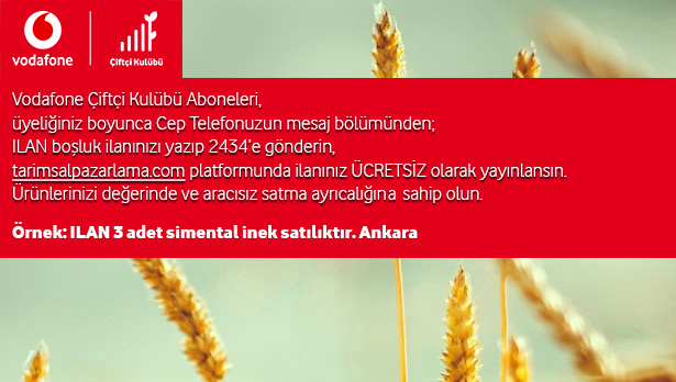 Vodafone 2434