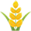 Tarım