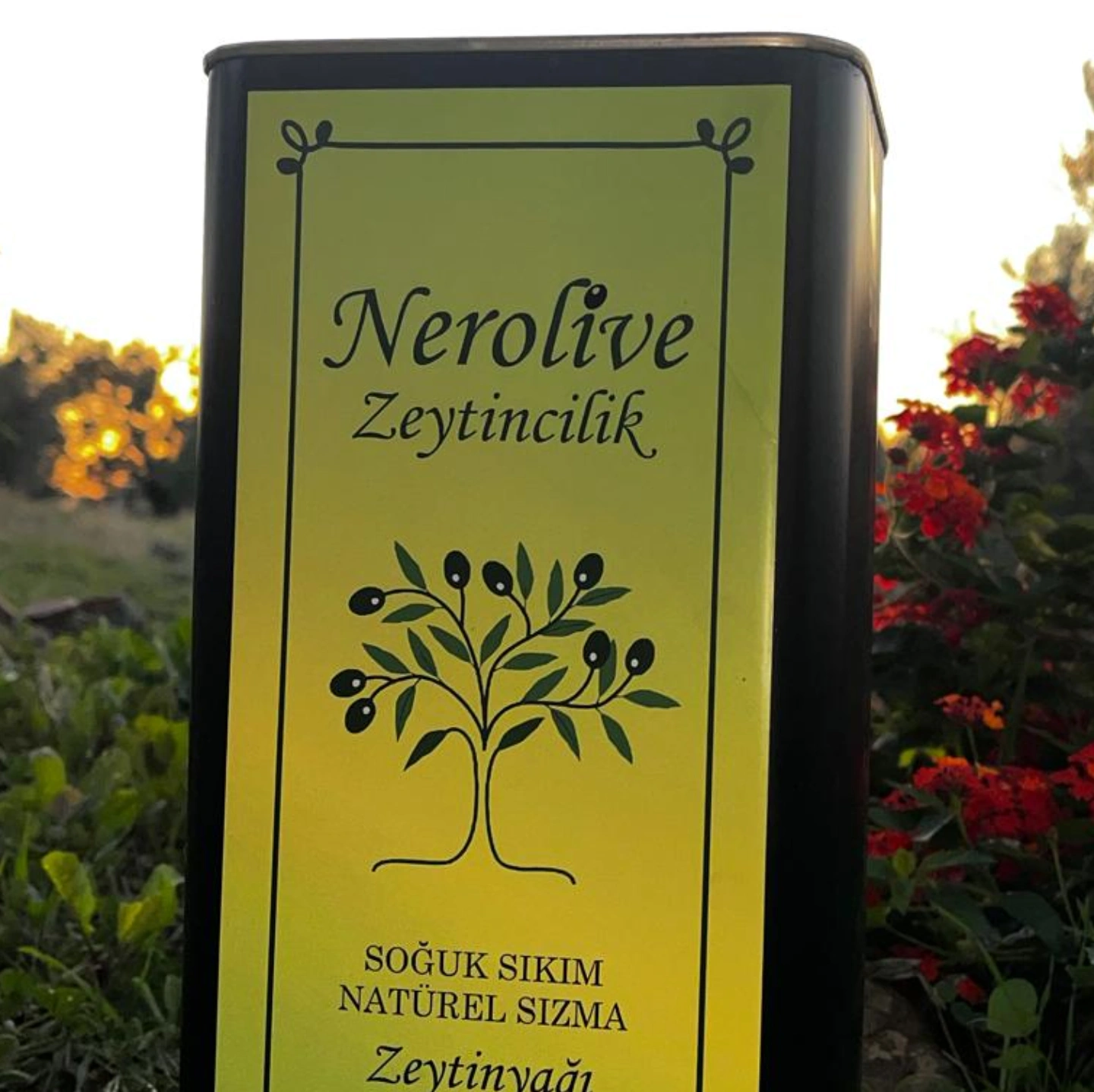 /upload/ilanlar/2026/2/Edremit-cinsi-Soguk-Sikim-Sizma-Zeytinyagi-45734b3f-49eb-4477-80be-1445a3508d21.webp