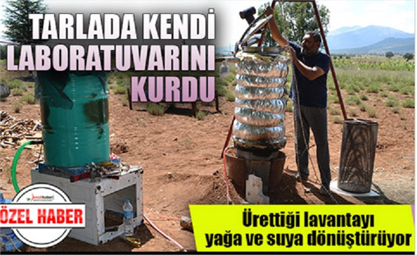 Kazanes Lavanta tarlası