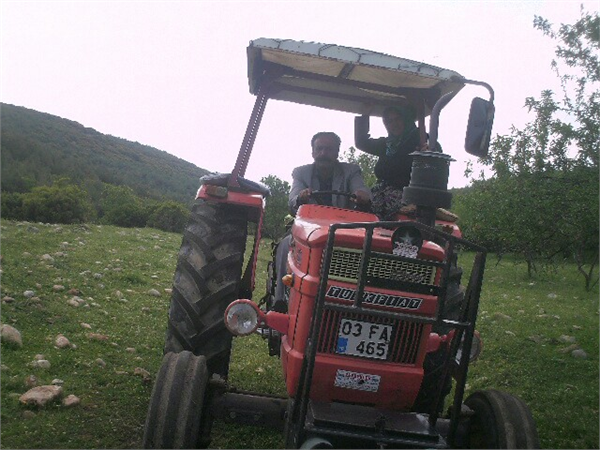 tekeler