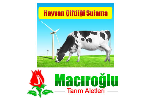 Macıroğlu Rüzgar Gülü Sulama Sistemi