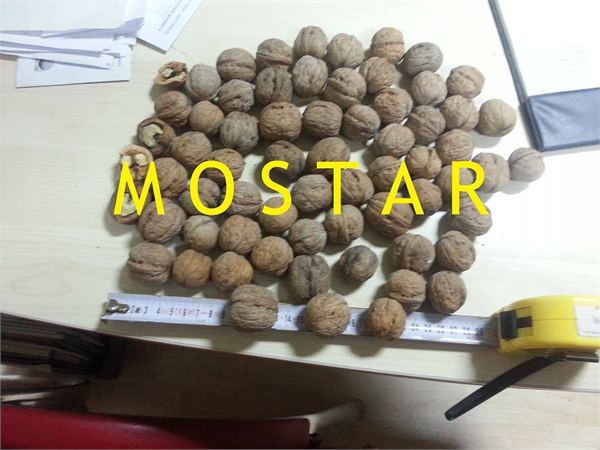 Mostar Dış Ticaret Ltd.Şti.Kabuklu Ceviz