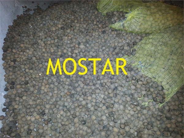 Mostar Dış Ticaret Ltd.Şti.Kabuklu Ceviz