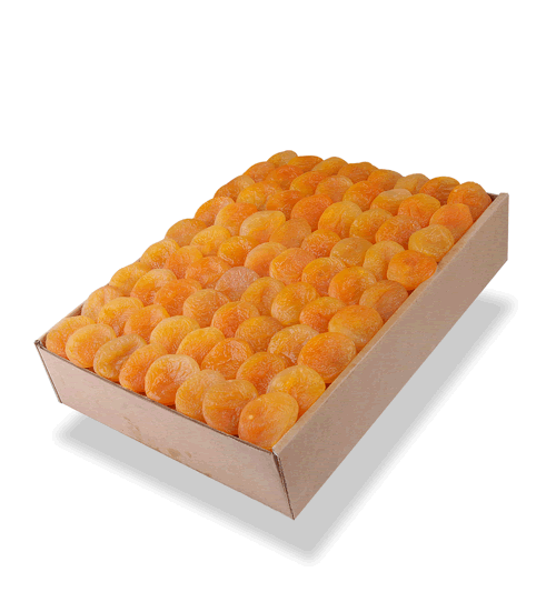 Dried Apricots 