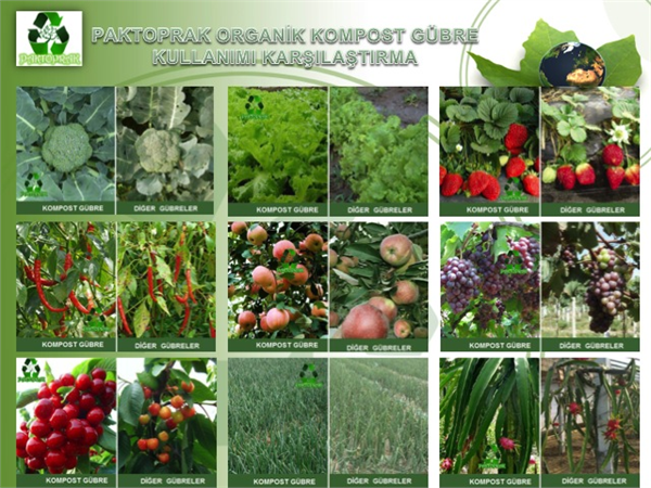 Karşılaştırma Tablosu