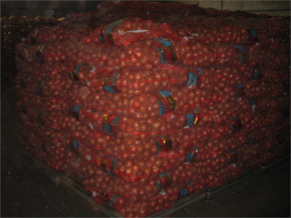 Soğan