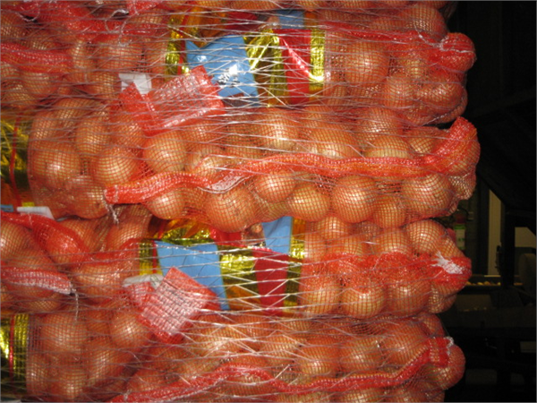 Soğan