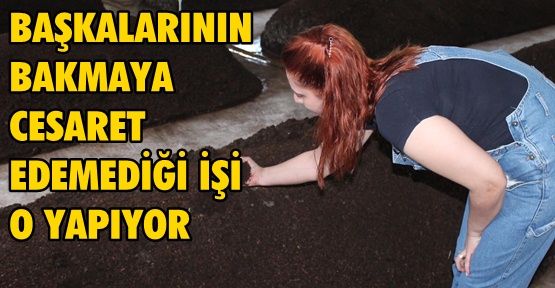 ÜRETİM TESİSİ
