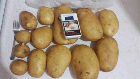melodi patates 