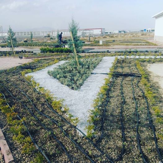 İNNOPARK PEYZAJ ÇALIŞMALARI