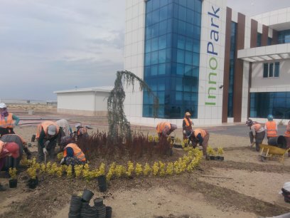 İNNOPARK PEYZAJ ÇALIŞMALARI