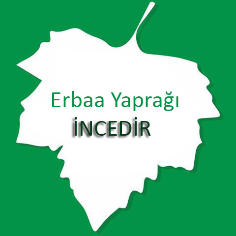 Erbaa Yaprağı İncedir