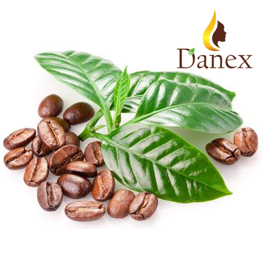 Oil of roasted coffee