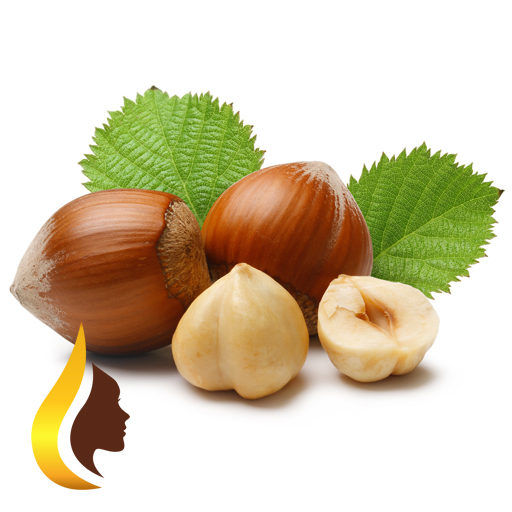 Oil of hazelnut