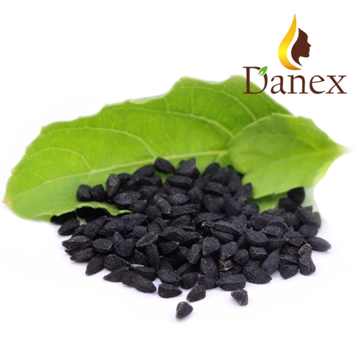Oil of black cumin