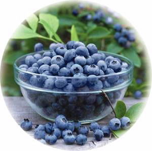 MARMELAT