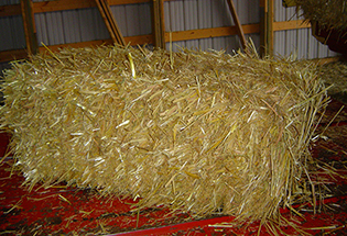 Satılık 65 Ton Arpa Balyası