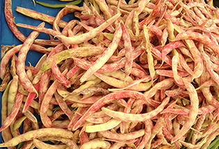 Satılık Barbunya