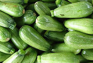 Satılık Kabak Dolması