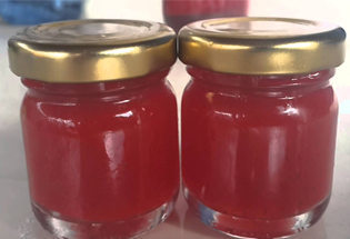 Satılık 10 Kilo Kantaron Yağı