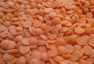 Satılık 2 Ton Kabuklu Kırmızı Mercimek