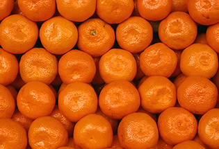 Satılık 100 Kilo Mandalina