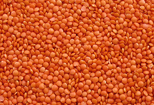 Satılık Mercimek