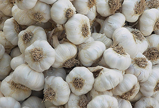 Satılık 10 Kilo Sarımsak