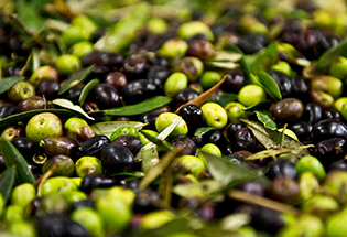 Satılık 10 Kilo Zeytin
